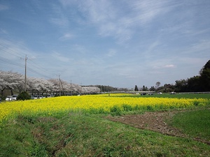 12041saihoku_061.jpg