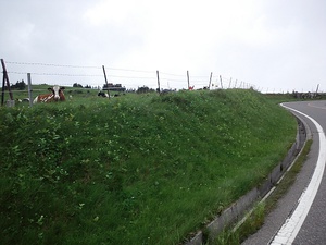 120722oogawara_027.jpg