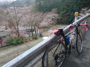 170408奥武蔵サイクリング033.jpg