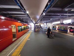 20250414_141643[1].jpg