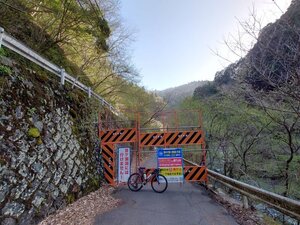 20250414_160741.jpg