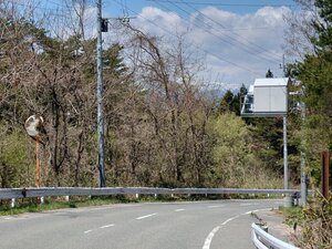20250429_101349.jpg