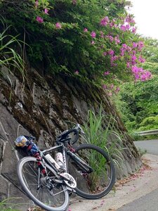 20250514_152951.jpg