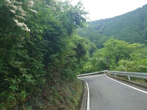 20250615_151132.jpg