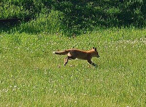 20250628_160751.jpg