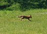 20250628_160751.jpg