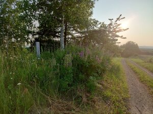 20250629_173758.jpg