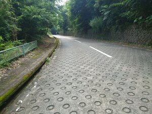 20250706_122603.jpg