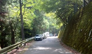 20250817_130753.jpg