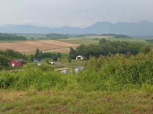 20250820_163033.jpg