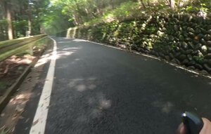 20250823_103237.jpg