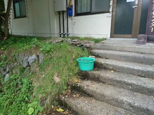 20250824_113054.jpg