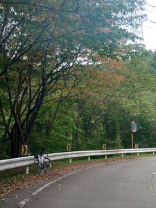 20250928_115245.jpg