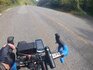 20250928_121420.jpg 20250928_121420.jpg