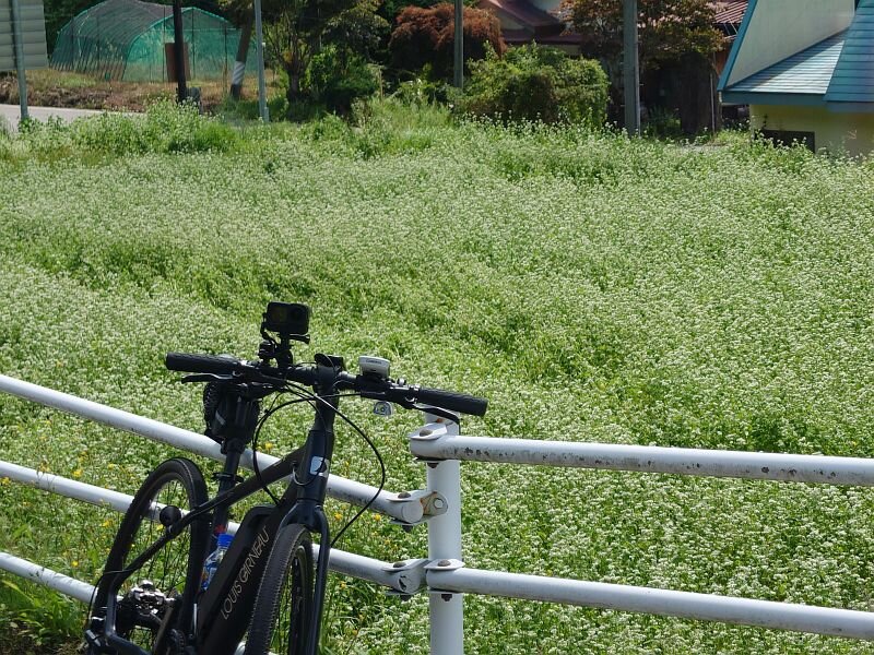 http://ayu2.com/Bicycle/bicphoto/20230827_132543.jpg