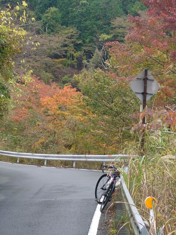 http://ayu2.com/Bicycle/bicphoto/20241114_154025.jpg