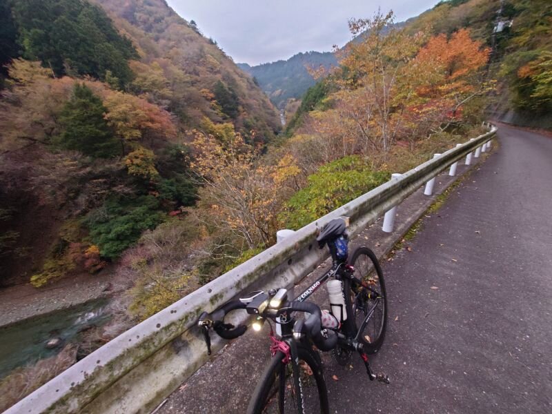 http://ayu2.com/Bicycle/bicphoto/20241114_162200.jpg