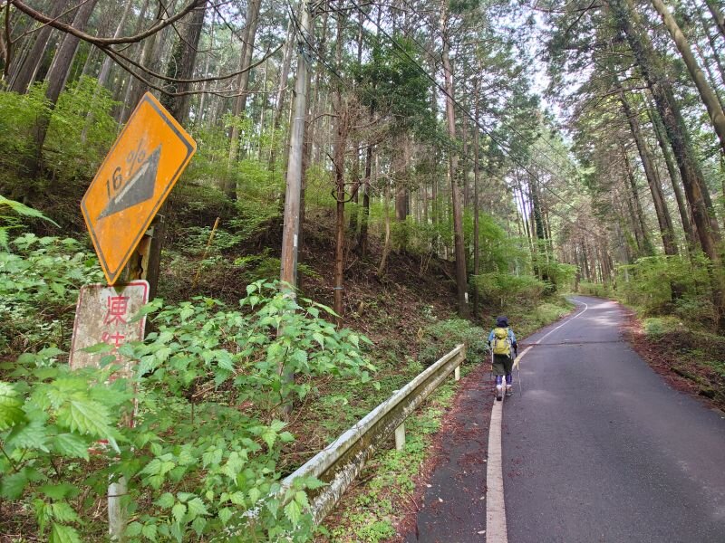 http://ayu2.com/Bicycle/bicphoto/20250511_085539.jpg