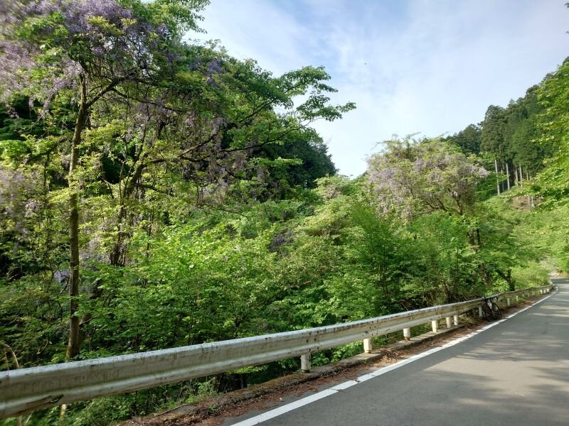 http://ayu2.com/Bicycle/bicphoto/20250514_155611.jpg
