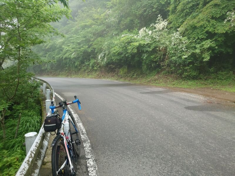 http://ayu2.com/Bicycle/bicphoto/20250615_142427.jpg