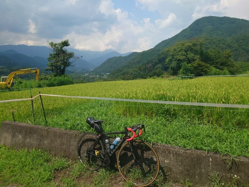 http://ayu2.com/Bicycle/bicphoto/20250824_124142.jpg