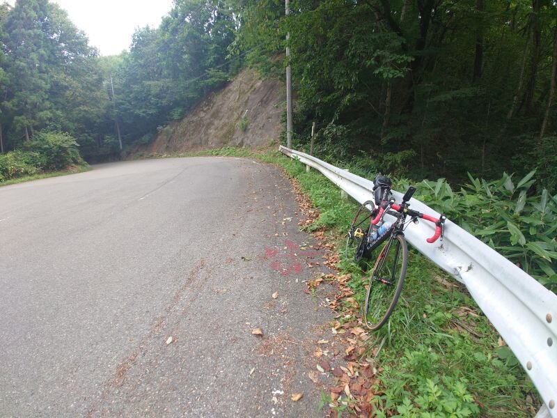 http://ayu2.com/Bicycle/bicphoto/20250824_130654.jpg