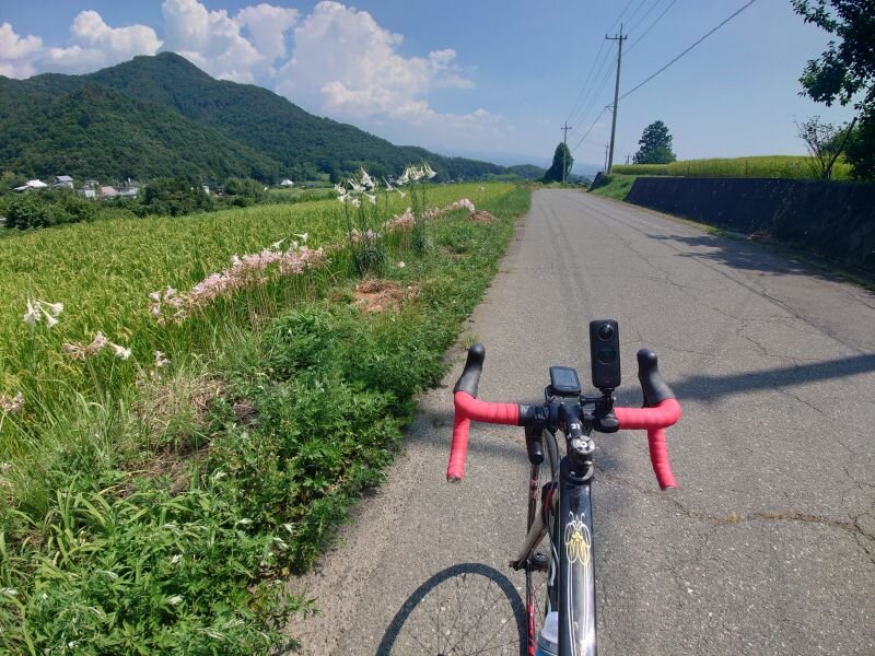 http://ayu2.com/Bicycle/bicphoto/20250824_132027.jpg