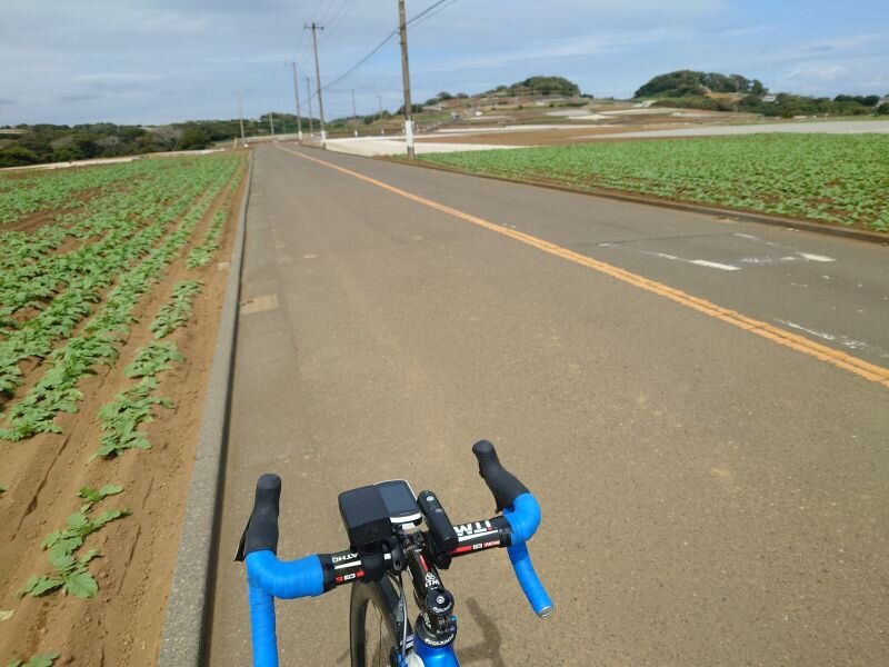 http://ayu2.com/Bicycle/bicphoto/20250920_124859.jpg