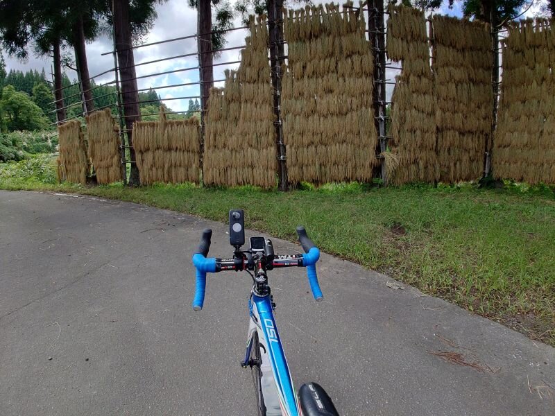 http://ayu2.com/Bicycle/bicphoto/20250927_131549.jpg
