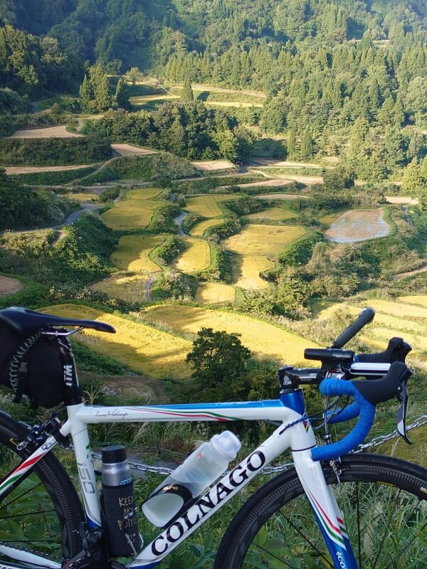 http://ayu2.com/Bicycle/bicphoto/20250927_154042.jpg