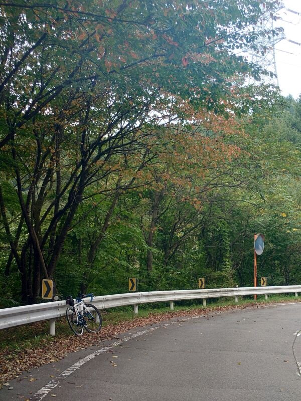 http://ayu2.com/Bicycle/bicphoto/20250928_115245.jpg