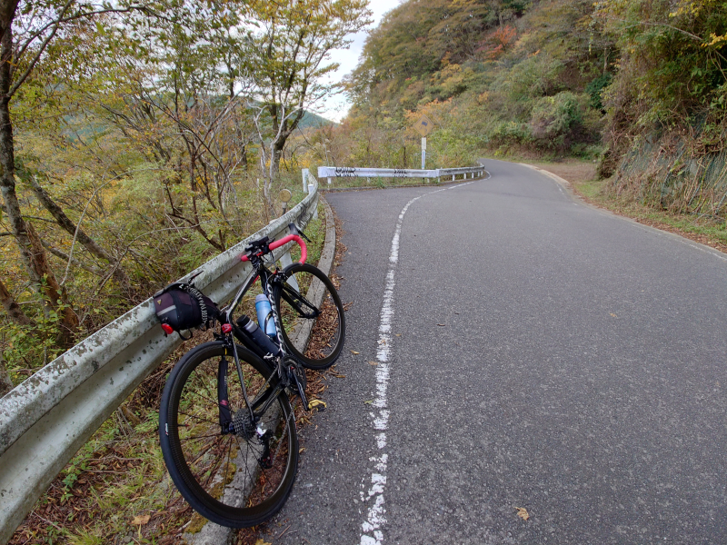 http://ayu2.com/Bicycle/bicphoto/20251103_132146.png