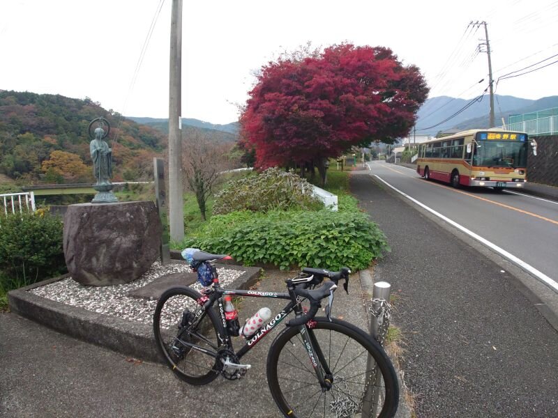 http://ayu2.com/Bicycle/bicphoto/20251113_145112.jpg