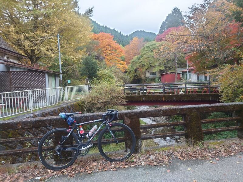 http://ayu2.com/Bicycle/bicphoto/20251113_154758.jpg