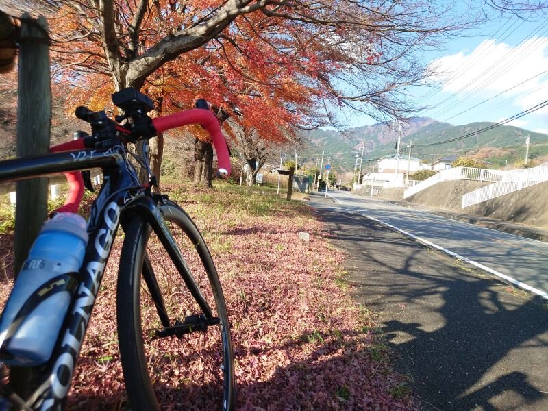 http://ayu2.com/Bicycle/bicphoto/20251217_134024.jpg