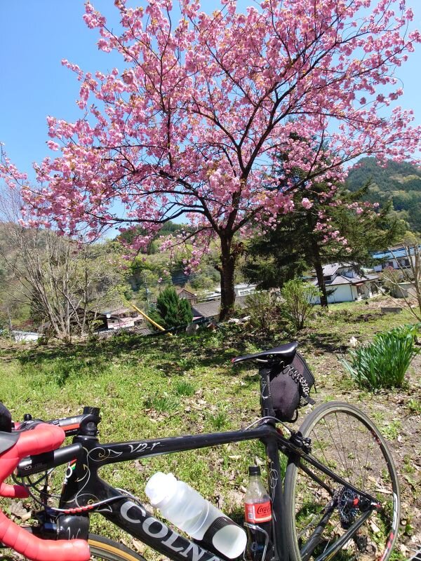 http://ayu2.com/Bicycle/bicphoto/50c50962a41481b246f86234cd0e19b0581550ba.jpg