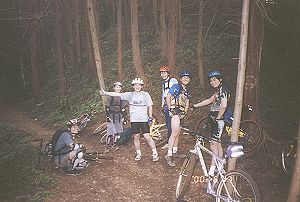 ���䗅����