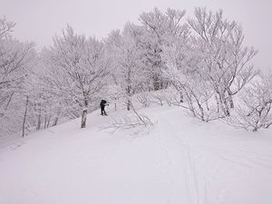 220122東谷山BCスキー010.jpg