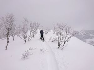 220122東谷山BCスキー013.jpg