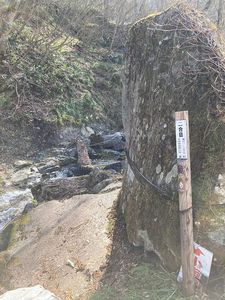 220504苗場山0034.jpg