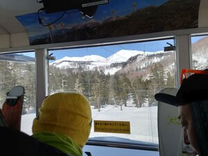 20250405_095740.jpg