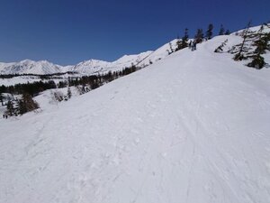 20250405_103052.jpg