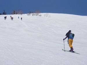 20250405_110446.jpg