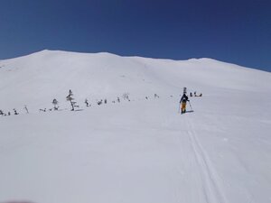 20250405_115134.jpg