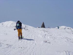 20250405_131620.jpg