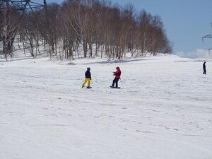 20250412_111959.jpg