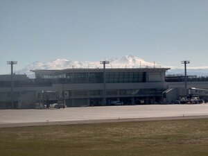20250418_083650.jpg