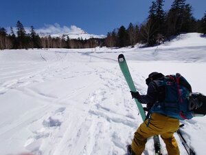 20250418_105232.jpg