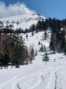 20250418_111555.jpg