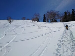 20250418_114934.jpg